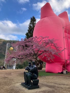 彫刻の森美術館に投稿された画像（2023/3/19）