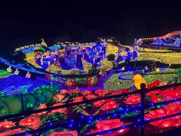 伊豆ぐらんぱる公園に投稿された画像（2023/3/19）