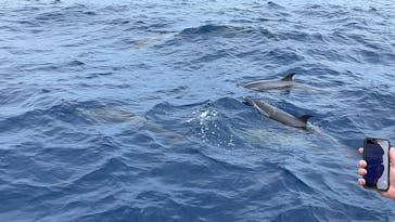 マリンクラブ ベリー 那覇店に投稿された画像（2023/3/19）