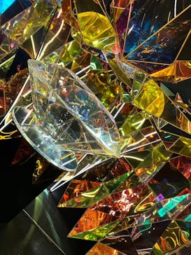 NARA KINGYO MUSEUMに投稿された画像（2023/3/19）