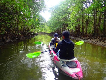 西表島 ADVENTURE PiPi（アドベンチャーピピ）に投稿された画像（2023/3/19）