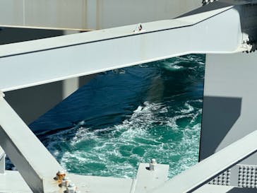 徳島県立 渦の道に投稿された画像（2023/3/19）