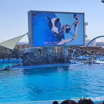 名古屋港水族館に投稿された画像（2023/3/19）