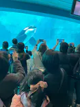 名古屋港水族館に投稿された画像（2023/3/20）