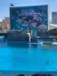 名古屋港水族館に投稿された画像（2023/3/20）