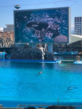 名古屋港水族館に投稿された画像（2023/3/19）