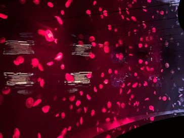 サンシャイン水族館に投稿された画像（2023/3/19）