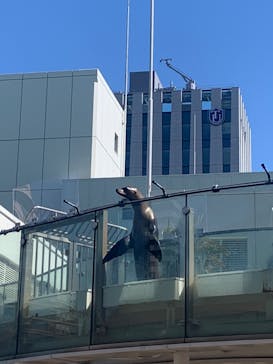 サンシャイン水族館に投稿された画像（2023/3/19）