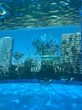 サンシャイン水族館に投稿された画像（2023/3/19）