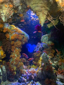 サンシャイン水族館に投稿された画像（2023/3/19）