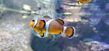 サンシャイン水族館に投稿された画像（2023/3/19）