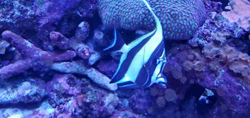 サンシャイン水族館に投稿された画像（2023/3/19）