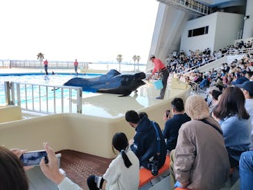 マリンワールド海の中道に投稿された画像（2023/3/19）