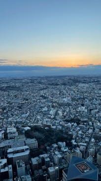 横浜ランドマークタワー 69階展望フロア スカイガーデンに投稿された画像（2023/3/20）