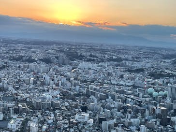 横浜ランドマークタワー 69階展望フロア スカイガーデンに投稿された画像（2023/3/20）