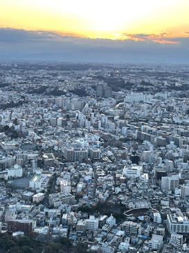 横浜ランドマークタワー 69階展望フロア スカイガーデンに投稿された画像（2023/3/20）