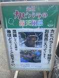 伊豆シャボテン動物公園に投稿された画像（2023/3/20）