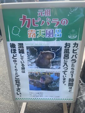伊豆シャボテン動物公園に投稿された画像（2023/3/20）