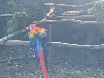 伊豆シャボテン動物公園に投稿された画像（2023/3/20）