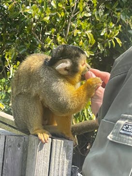 伊豆シャボテン動物公園に投稿された画像（2023/3/20）