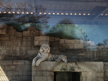 東武動物公園に投稿された画像（2023/3/20）