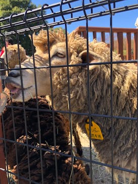 東武動物公園に投稿された画像（2023/3/20）