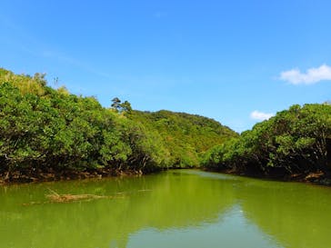 Lulu Sun（ルル サン）に投稿された画像（2023/3/20）