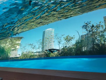 サンシャイン水族館に投稿された画像（2023/3/20）