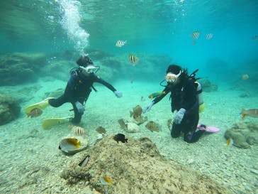 沖縄マリンサービス碧に投稿された画像（2023/3/20）