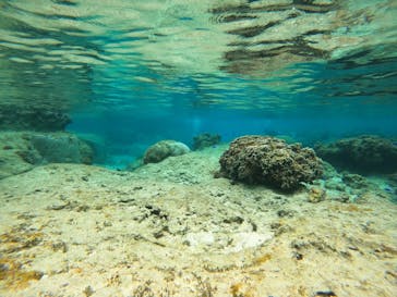 沖縄マリンサービス碧に投稿された画像（2023/3/20）