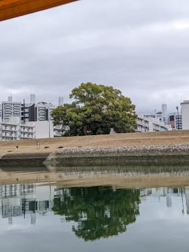 ひろしまリバークルーズに投稿された画像（2023/3/20）