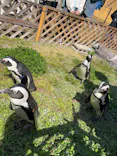 名古屋港水族館に投稿された画像（2023/3/20）
