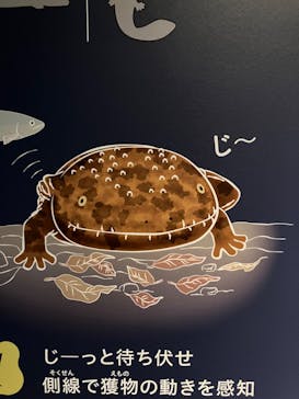 京都水族館に投稿された画像（2023/3/20）