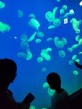 大分マリーンパレス水族館 「うみたまご」に投稿された画像（2023/3/20）