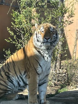 那須どうぶつ王国に投稿された画像（2023/3/20）