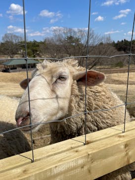 那須どうぶつ王国に投稿された画像（2023/3/20）