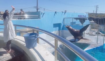 南知多ビーチランド＆南知多おもちゃ王国に投稿された画像（2023/3/20）