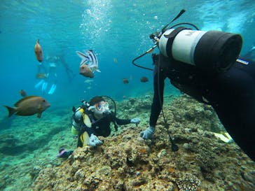 沖縄マリンサービス碧に投稿された画像（2023/3/20）