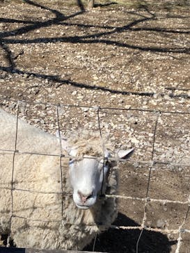 伊香保グリーン牧場に投稿された画像（2023/3/20）