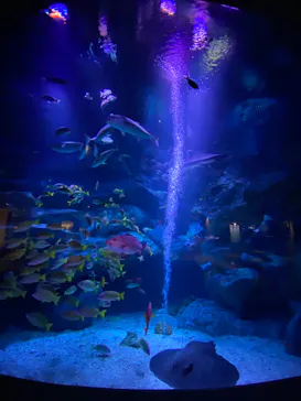 すみだ水族館に投稿された画像（2023/3/20）