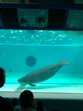 沖縄美ら海水族館に投稿された画像（2023/3/20）