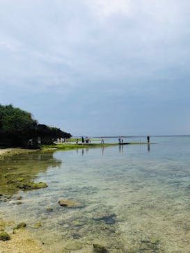 沖縄美ら海水族館に投稿された画像（2023/3/20）