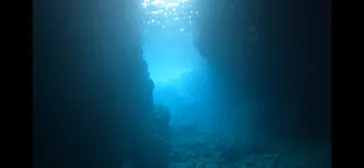 武藤潜水に投稿された画像（2023/3/20）