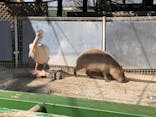 東武動物公園に投稿された画像（2023/3/20）