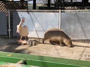 東武動物公園に投稿された画像（2023/3/20）