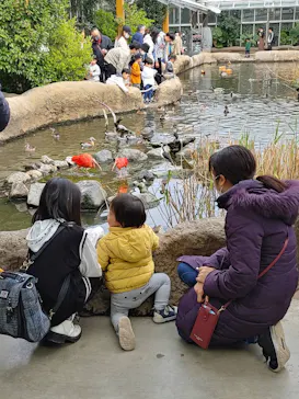 神戸どうぶつ王国に投稿された画像（2023/3/20）