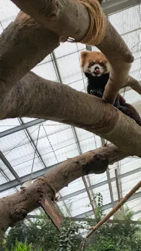 神戸どうぶつ王国に投稿された画像（2023/3/20）