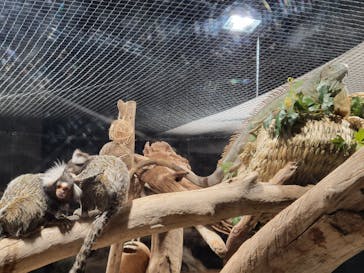 カワスイ 川崎⽔族館に投稿された画像（2023/3/20）