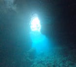 DIVING-SHOP SUNSに投稿された画像（2023/3/20）