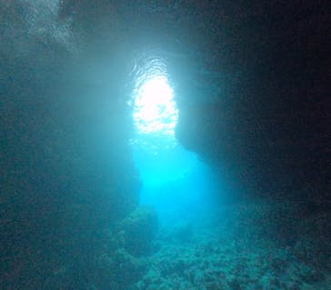 DIVING-SHOP SUNSに投稿された画像（2023/3/20）